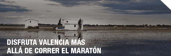 MVTA_DISFRUTA_DE_VALENCIA_CAS